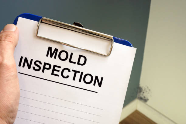 Best Mold Remediation for Healthcare Facilities  in Canastota, NY